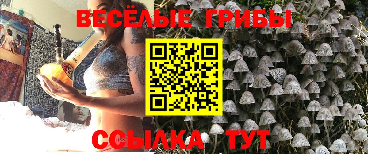 Галлюциногенные грибы Magic Shrooms Лесной
