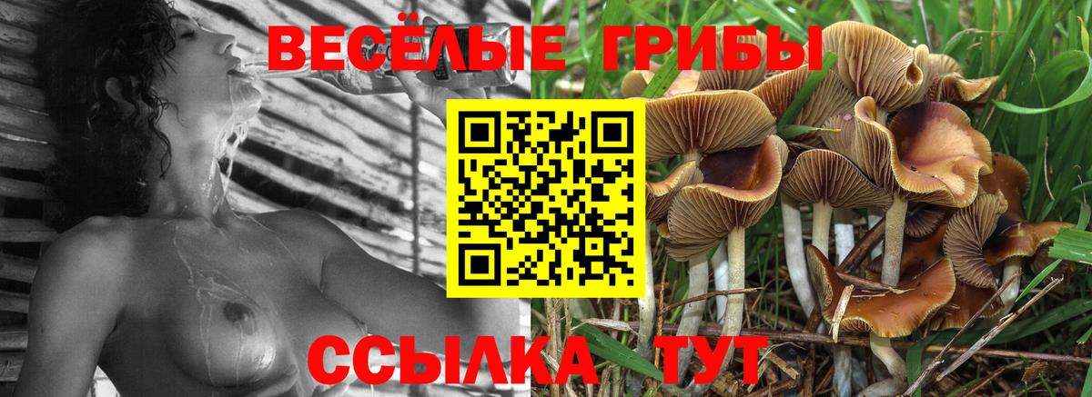 купить  сайты  Галлюциногенные грибы мухоморы  Вход с VPN  Лесной 